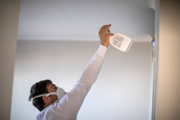 Best Mold Damage Repair  in Des Allemands, LA