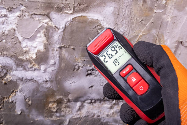 Best Local Mold Removal Service  in Des Allemands, LA