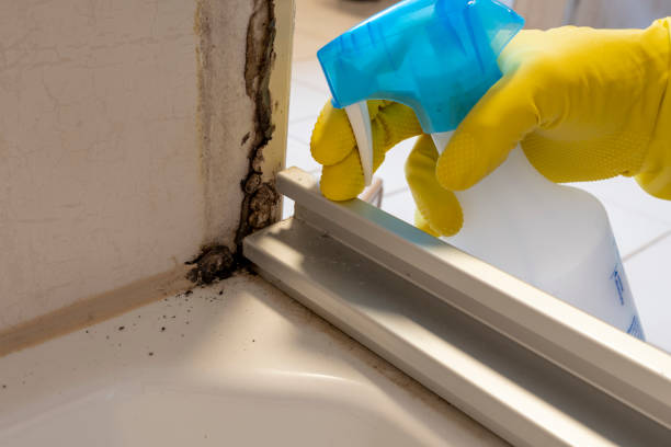 Crawl Space Mold Removal in Des Allemands, LA