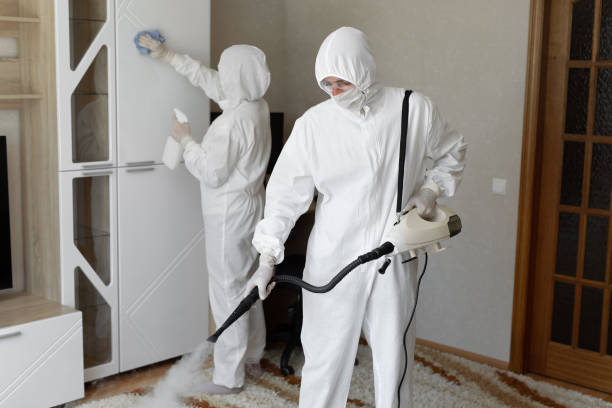 Best Toxic Mold Removal  in Des Allemands, LA