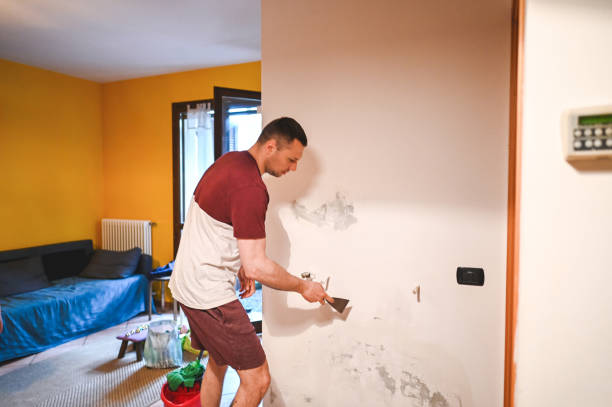 Best Affordable Mold Removal  in Des Allemands, LA